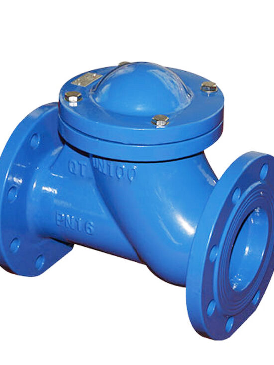 An image of a ball check valve.