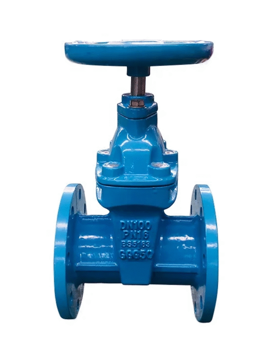 BS5163 Resilient Seated Gate Valve - High-quality and durable gate valve for industrial use