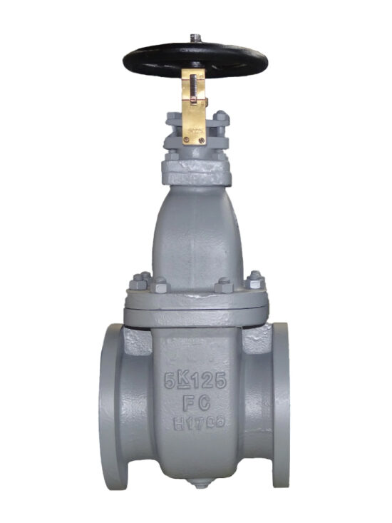 This image shows JIS 5K cast steel gate valve. One side of the valve body is marked "5K" indicating the valve's pressure rating.