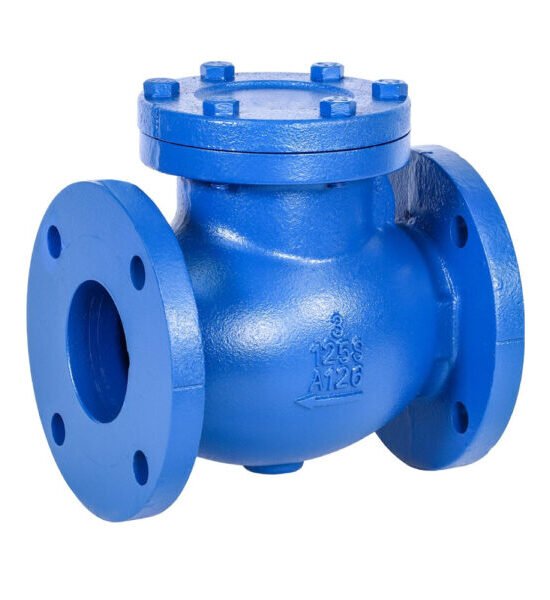 This image shows a cast iron flanged swing check valve.