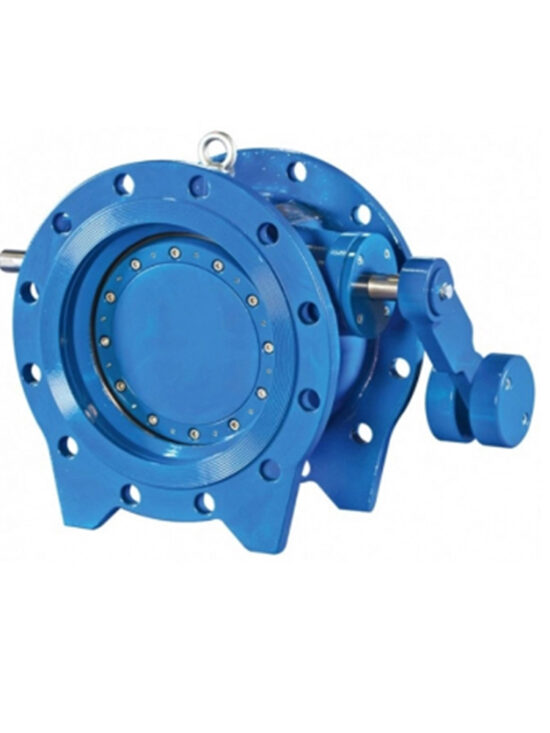 This image shows a tilting disc check valve.
