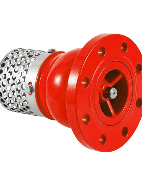 PN16 foot valve with strainer for clean water flow in wells and irrigation