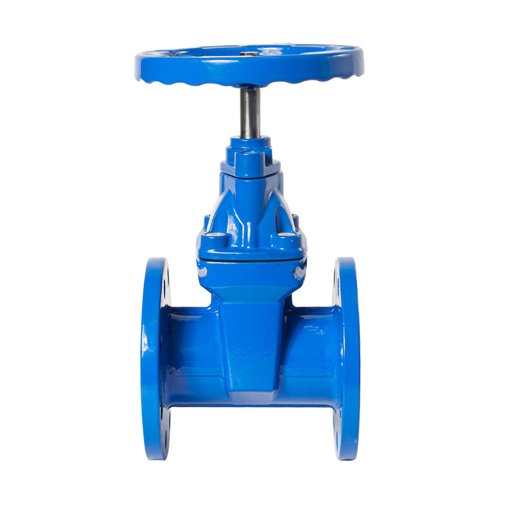 DN100 PN16 GGG50 Gate Valve - Image 2