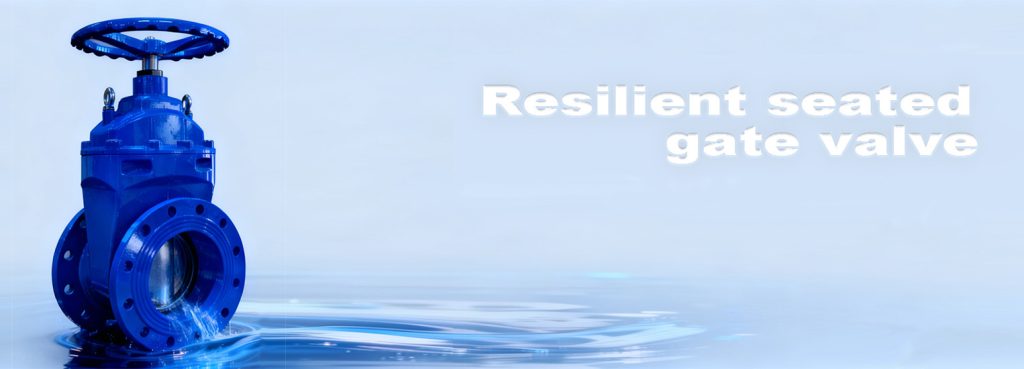 Resilient Seated Gate Valve