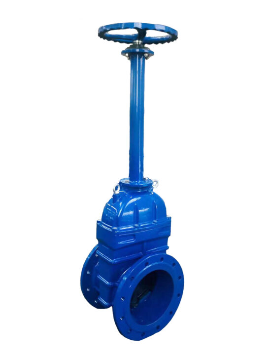 Blue industrial extension stem gate valve with a long vertical stem and circular handwheel at the top. The valve body is robust and flanged, featuring a large circular opening. The bright blue color indicates it's likely coated for corrosion resistance. This extension stem design allows for operation from a distance or in deep installations.