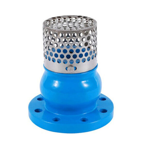 Foot valve for water pump systems, featuring corrosion-resistant body and built-in strainer