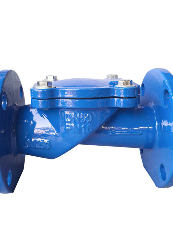 Alt Text 1: GGG50 rubber disc swing type check valve DN50 PN16 for water and industrial pipelines