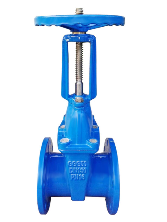 DN150 outside screw and yoke gate valve showing rising stem and yoke structure for easy operation