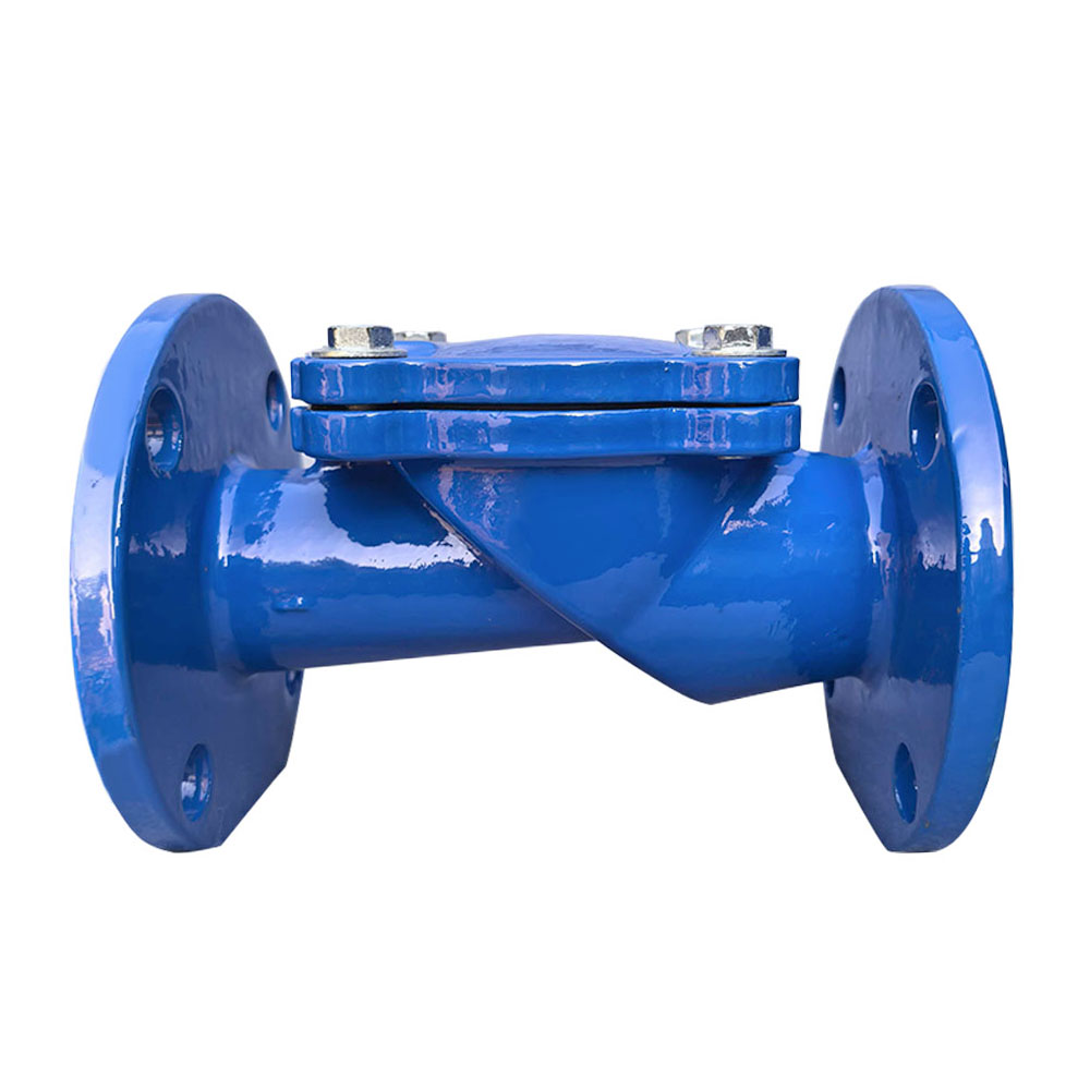 DN50 PN16 Rubber Disc Swing Check Valve - Image 3